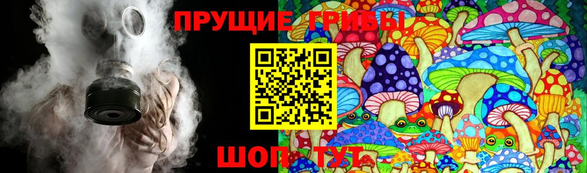 Кузнецк  Галлюциногенные грибы Magic Shrooms  Вход с VPN 